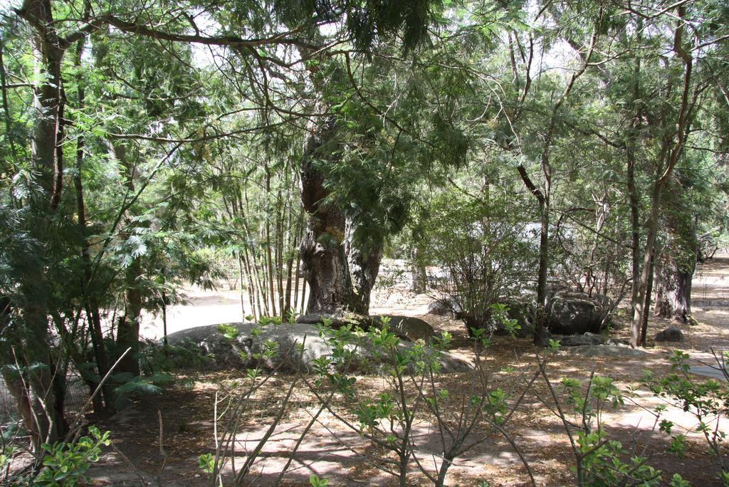 Camping Les Ilots D'Or Porto-Vecchio  Ngoại thất bức ảnh